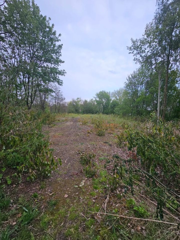 Działka budowlana Chorzów, ul. Miła. Zdjęcie 2