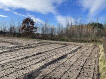 Działka budowlana Jastrząb, ul. Konopnickiej. Zdjęcie 1