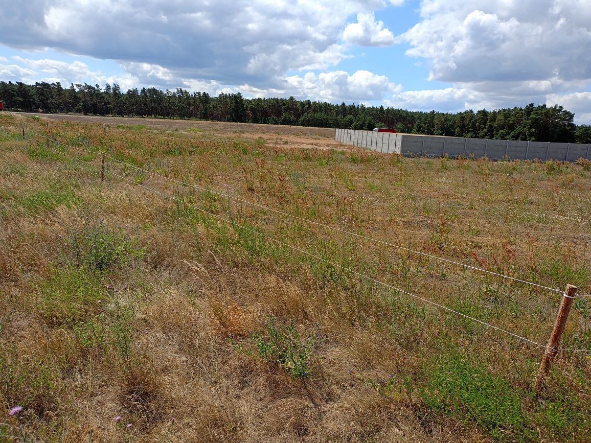 Działka budowlana Lemierzyce. Zdjęcie 7