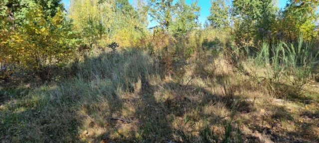 Działka budowlana Żółwin. Zdjęcie 7