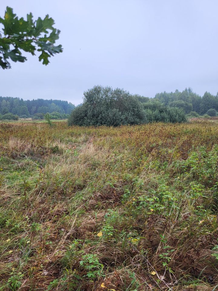 Działka rolna Sorbin Dule. Zdjęcie 3