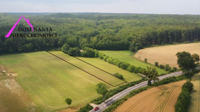 Działka budowlana Zdrada, ul. Leśna. Zdjęcie 2