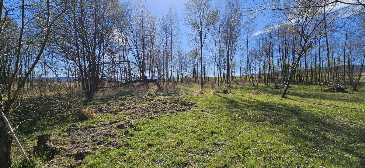 Działka budowlana Stary Wielisław. Zdjęcie 9