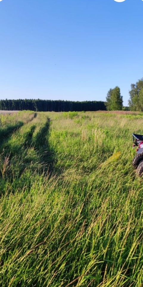 Działka rolna Kuźniczysko, Brak. Zdjęcie 8