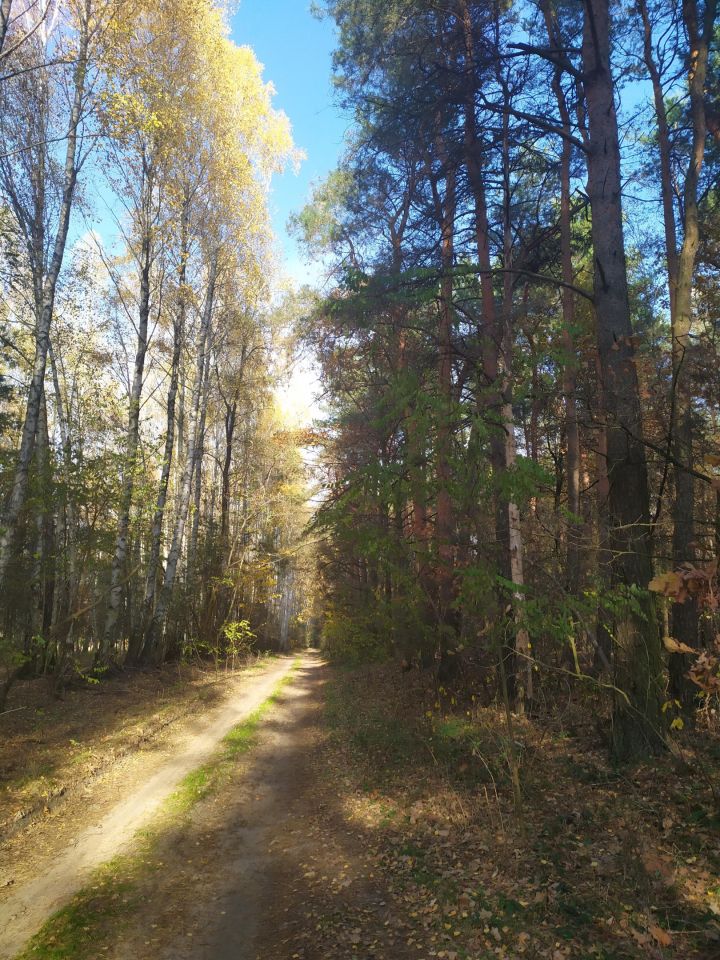 Działka budowlana Kamionka Ostrów, ul. Leśna. Zdjęcie 4