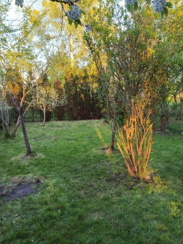 Działka rekreacyjna Szczecin Pogodno, ul. Tadeusza Kutrzeby. Zdjęcie 1