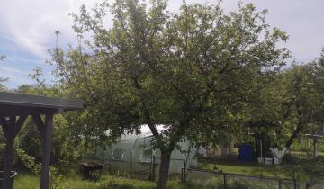 Działka rod Wrocław Psie Pole