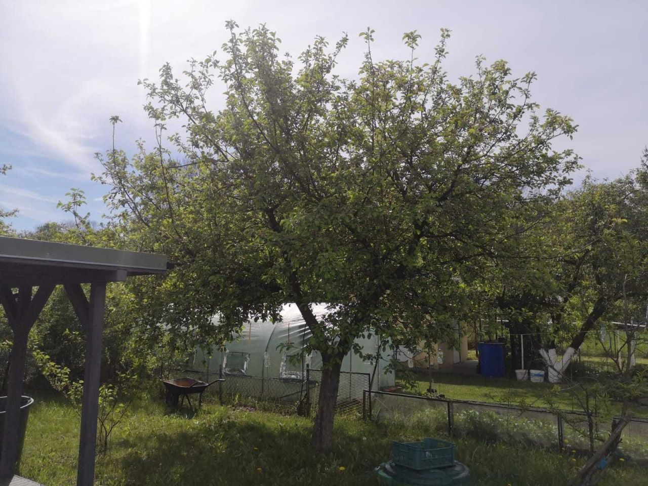 Działka rod Wrocław Psie Pole. Zdjęcie 2