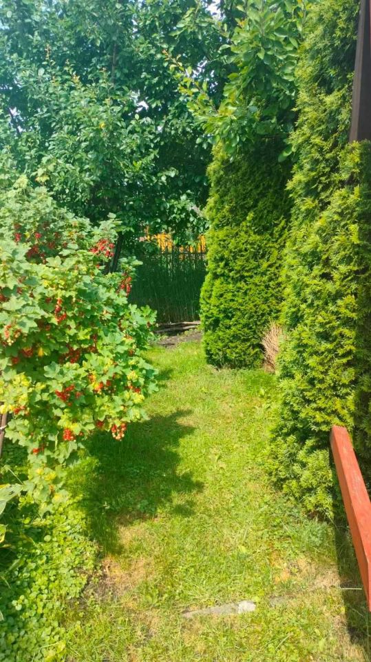 Działka rod Szubin. Zdjęcie 6