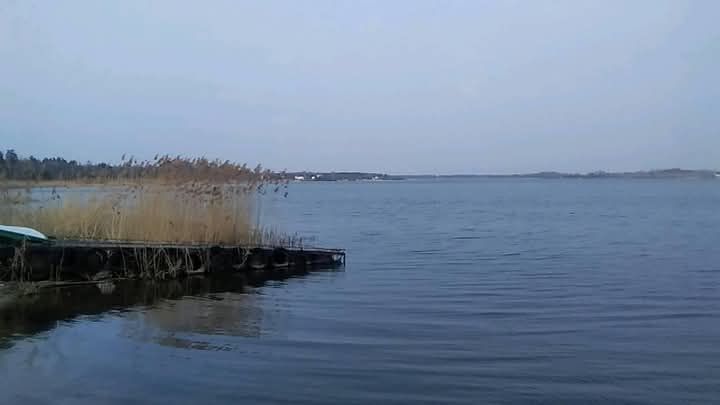 Działka budowlana Brudnów. Zdjęcie 18