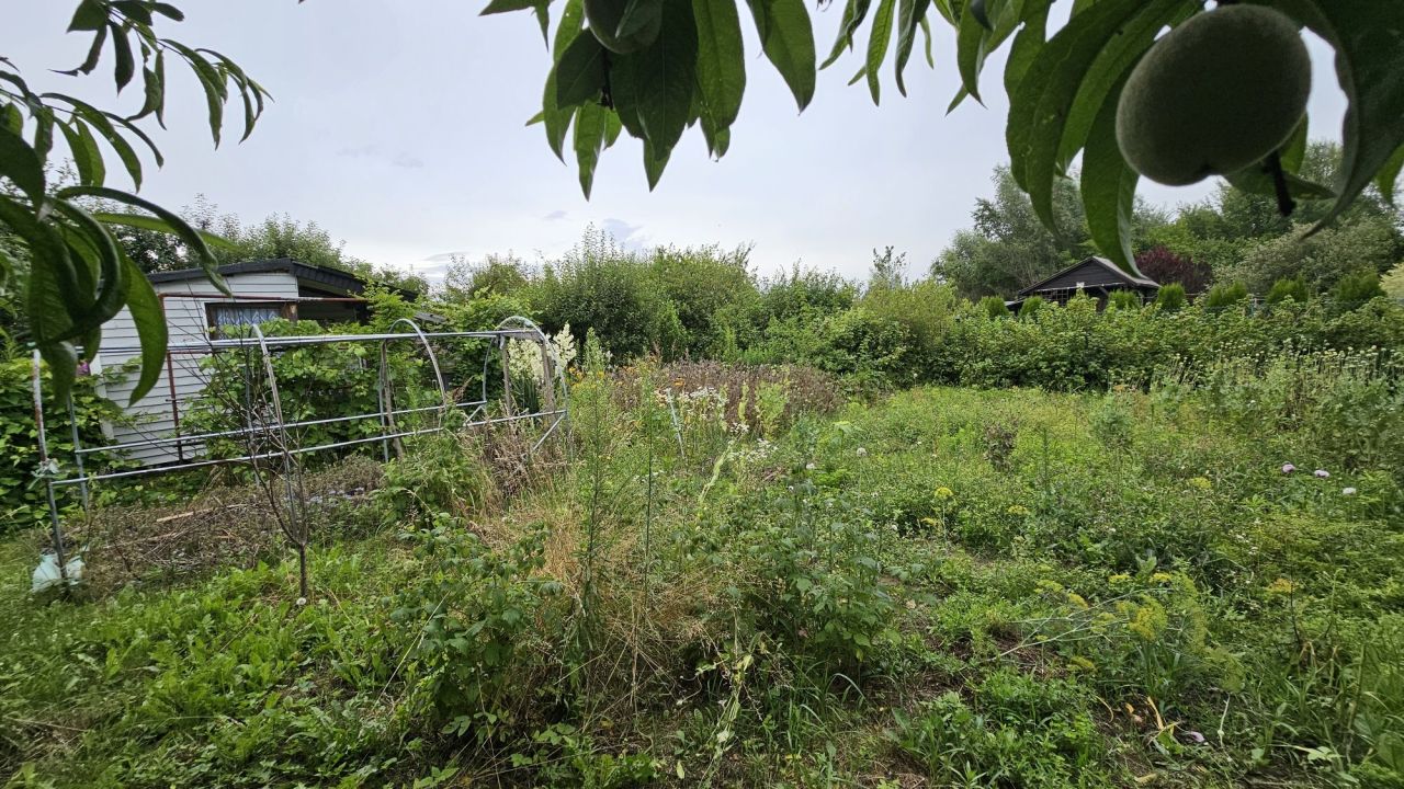 Działka rod Ostrowiec Świętokrzyski. Zdjęcie 4