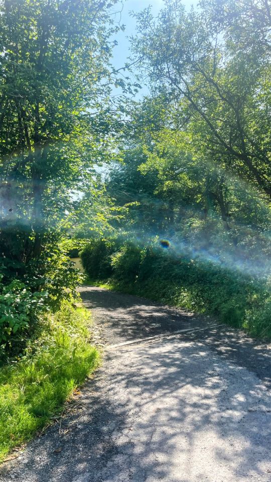 dom wolnostojący Krynica-Zdrój Słotwiny. Zdjęcie 21