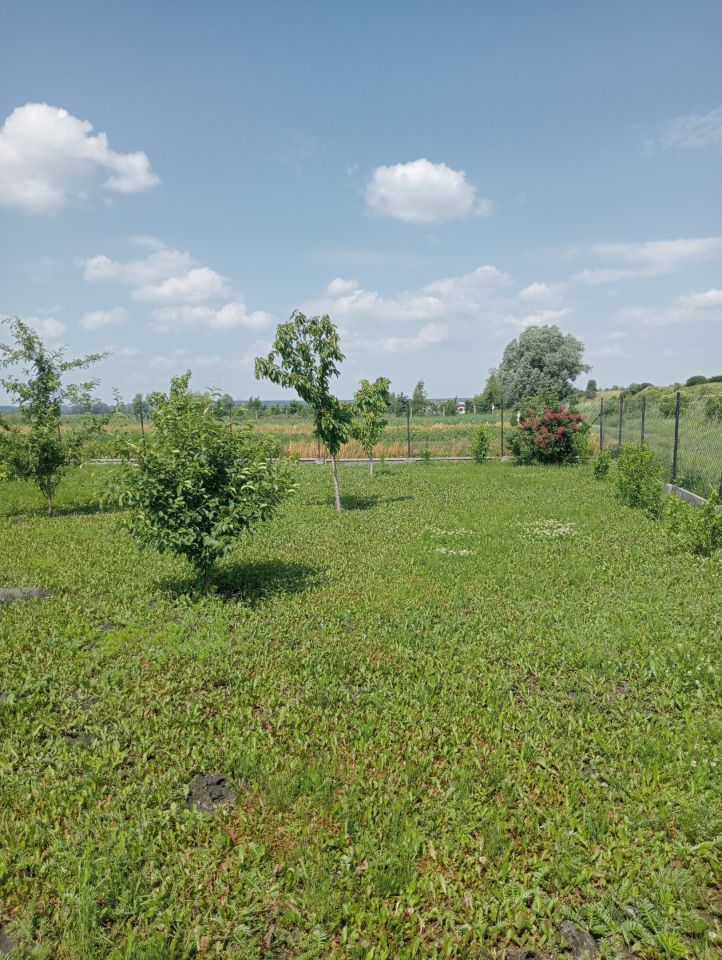 Działka rolna Białki. Zdjęcie 13