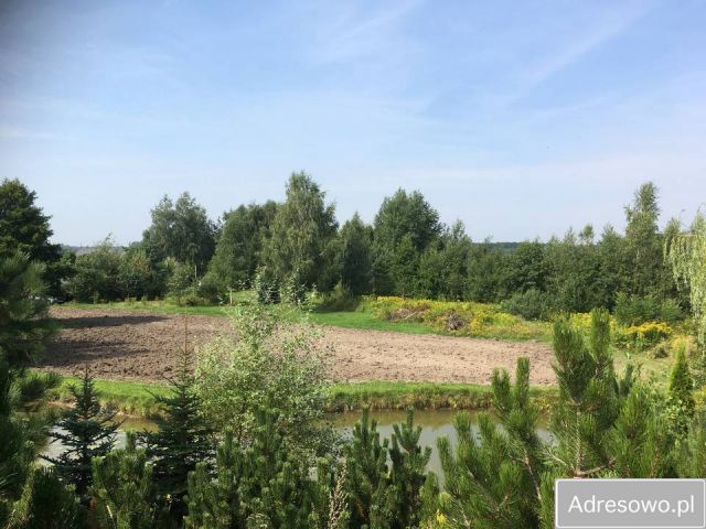 Działka Budy Ciepielińskie, bez pośrednika 6000 m2