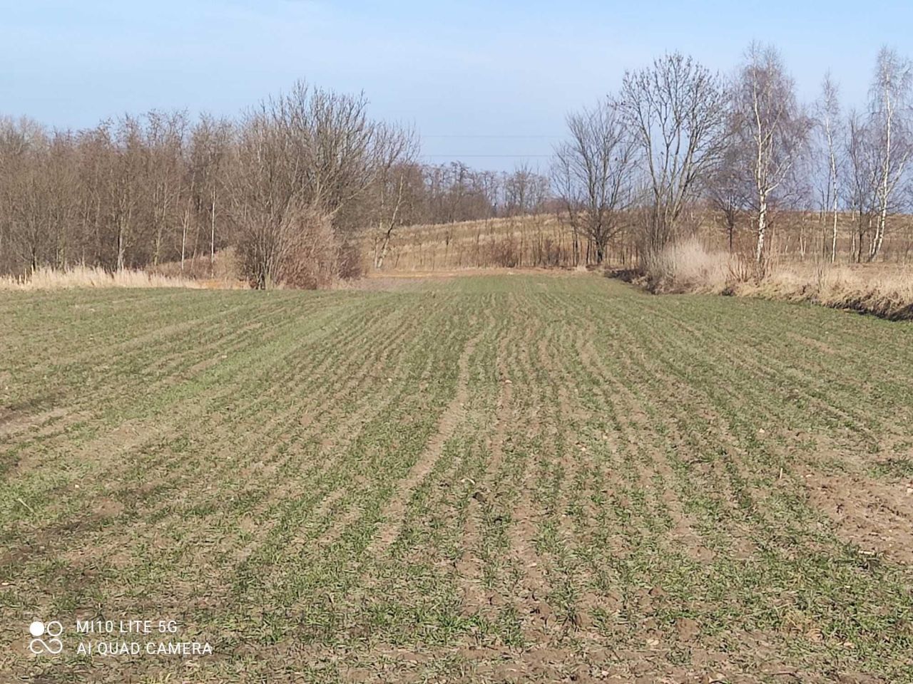 Działka budowlana Urzuty. Zdjęcie 5