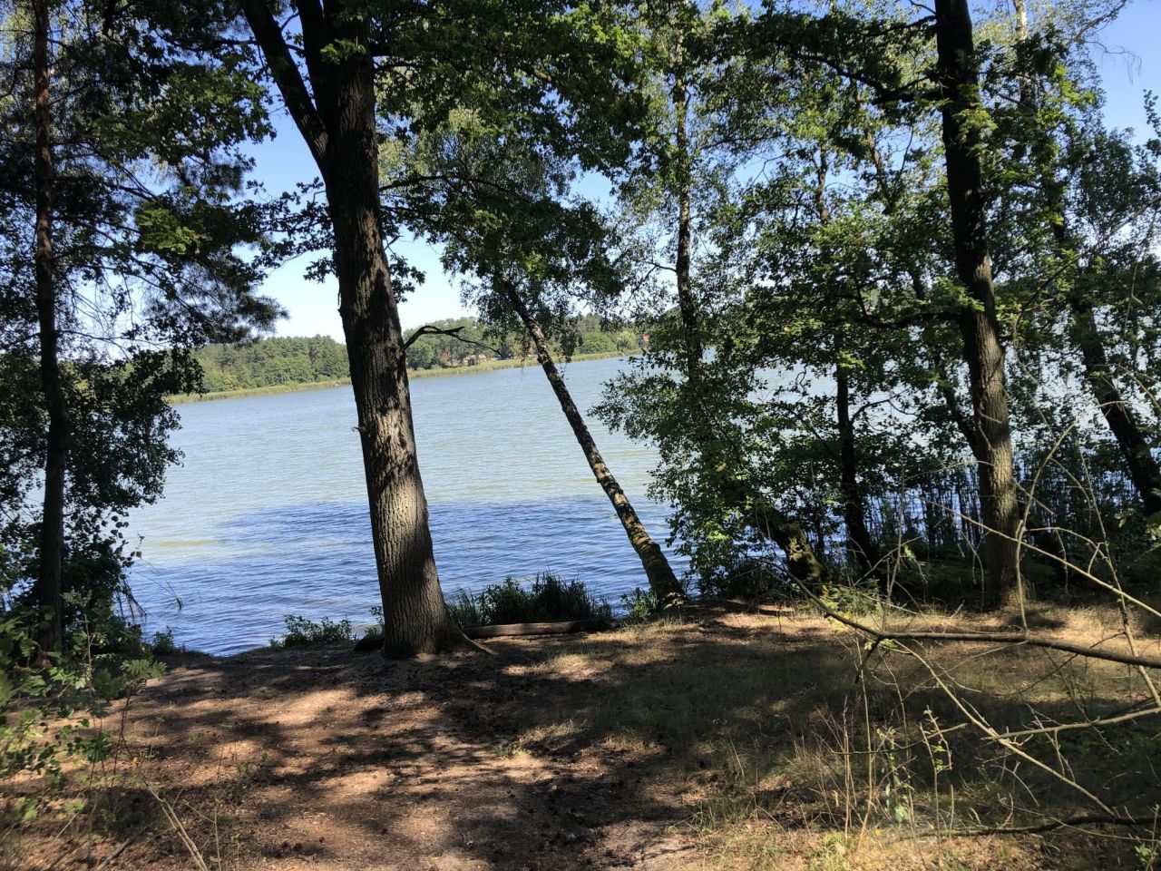 Działka rolna Pakawie. Zdjęcie 6