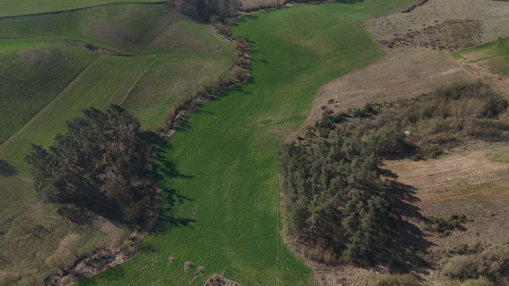 Działka rolna Rybieniec. Zdjęcie 6