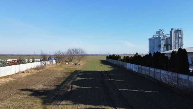 Działka rekreacyjna Osiek. Zdjęcie 5