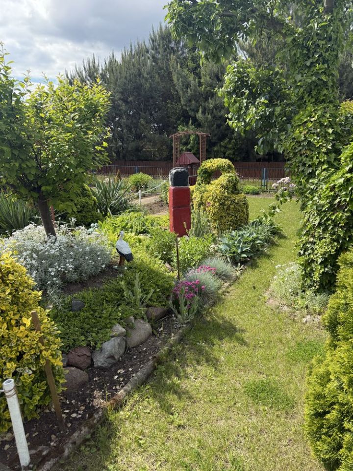 Działka rod Kalisz, ul. Złota. Zdjęcie 3