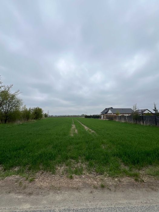 Działka budowlana Siedliska. Zdjęcie 1