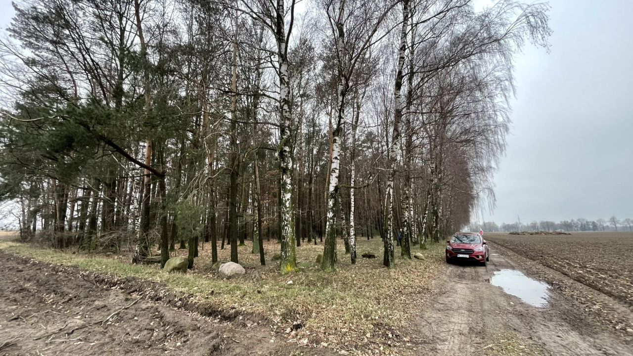 Działka leśna Skarżynek. Zdjęcie 11