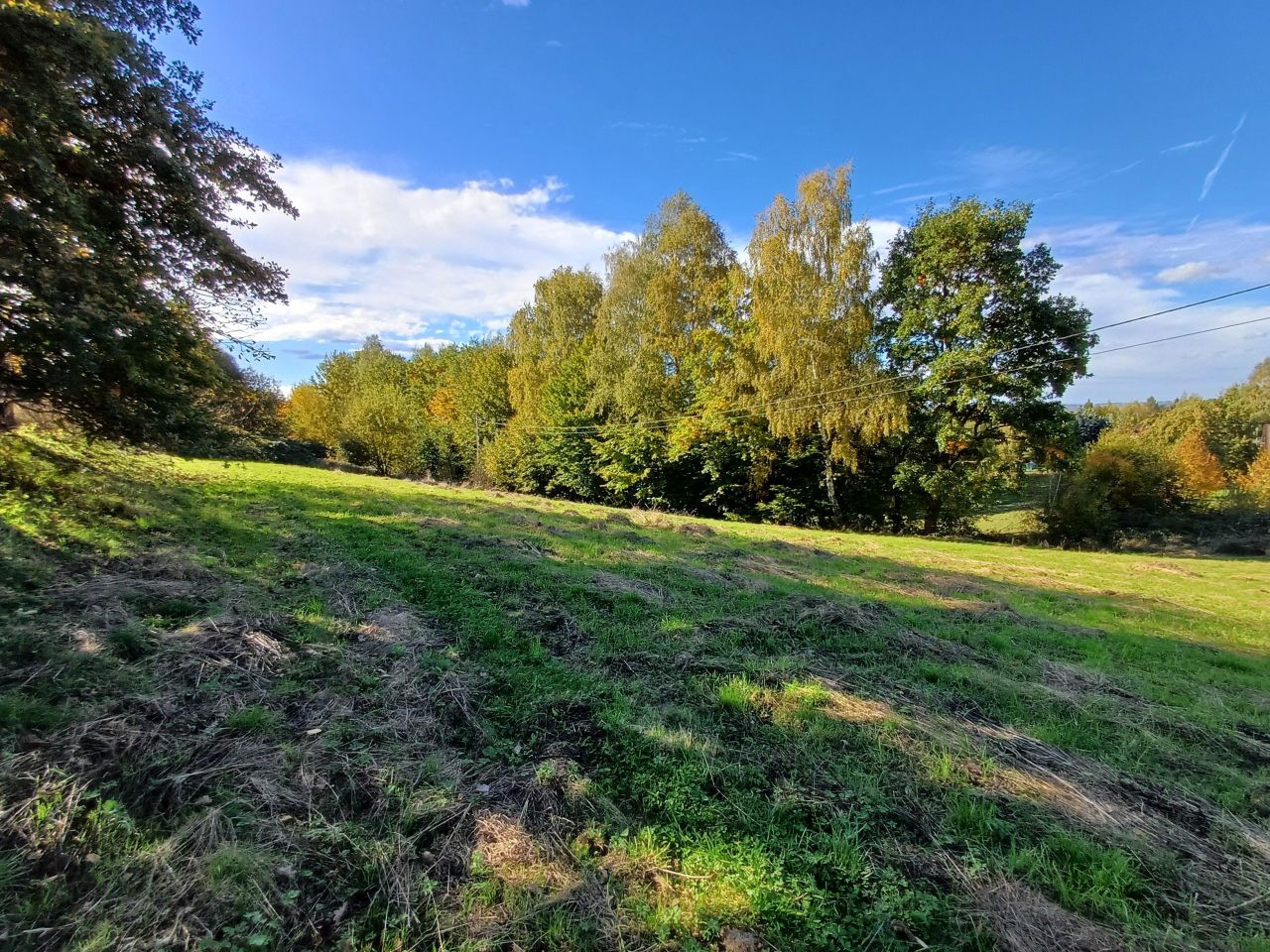 Działka rolno-budowlana Jaroszówka. Zdjęcie 8