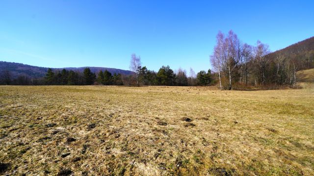 Działka rolna Regietów. Zdjęcie 11