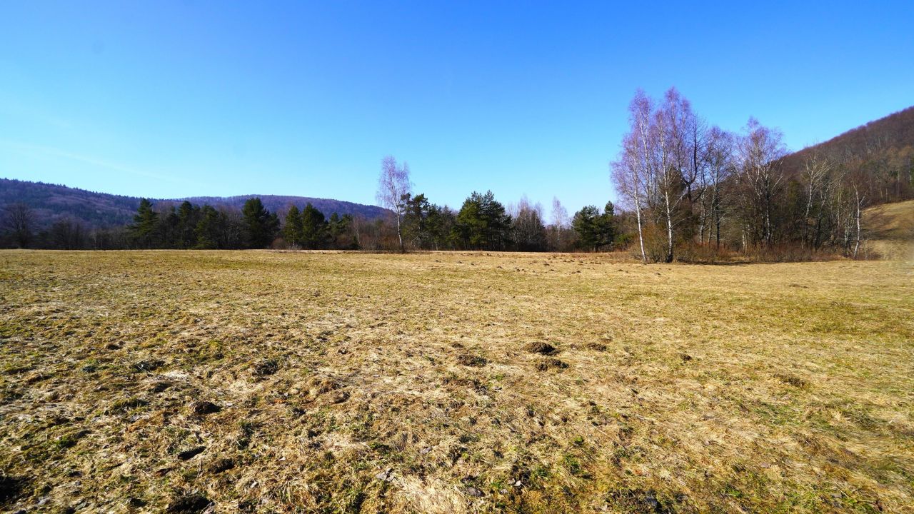 Działka rolna Regietów. Zdjęcie 11