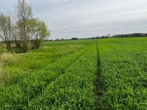 Działka rolna Kolsko, Kolsko. Zdjęcie 3