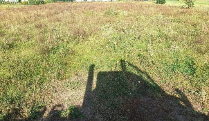 Działka budowlana Stare Kurowo, ul. Kościelna