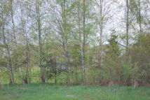 Działka budowlana Cyganka, ul. Szkolna. Zdjęcie 3