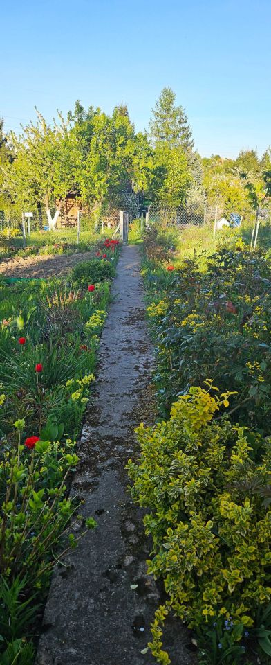 Działka rod Szczecin Gocław, ul. Południowa. Zdjęcie 6