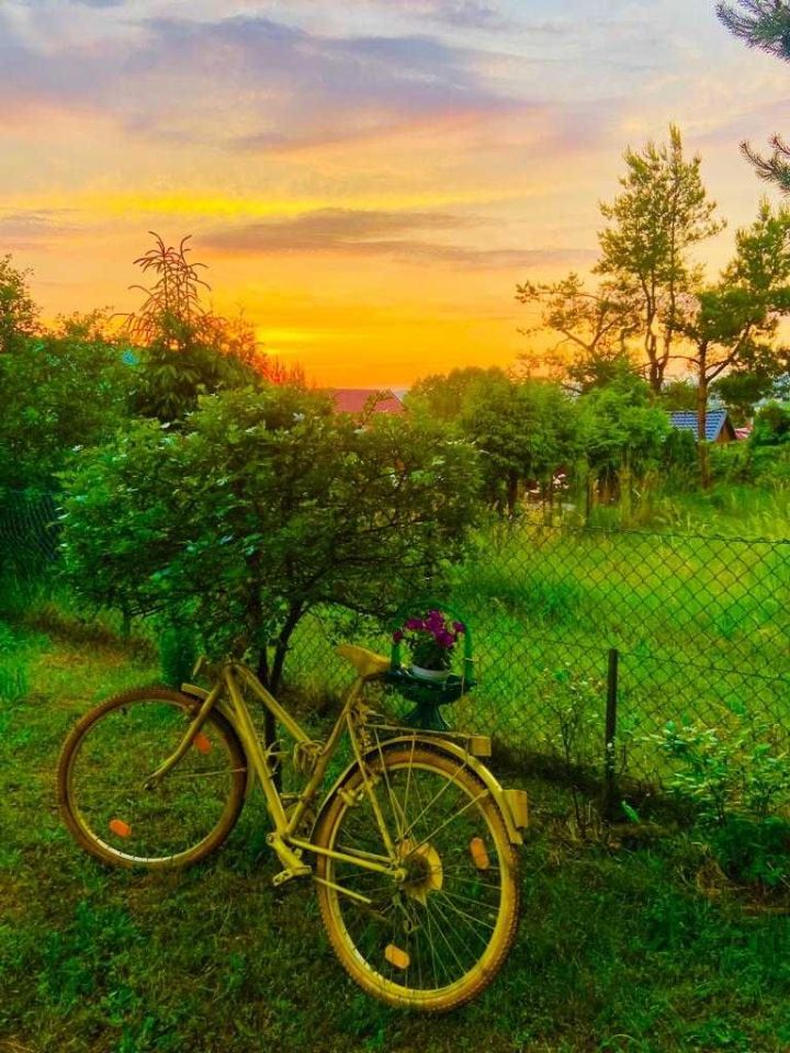 Działka rod Tenczynek. Zdjęcie 3