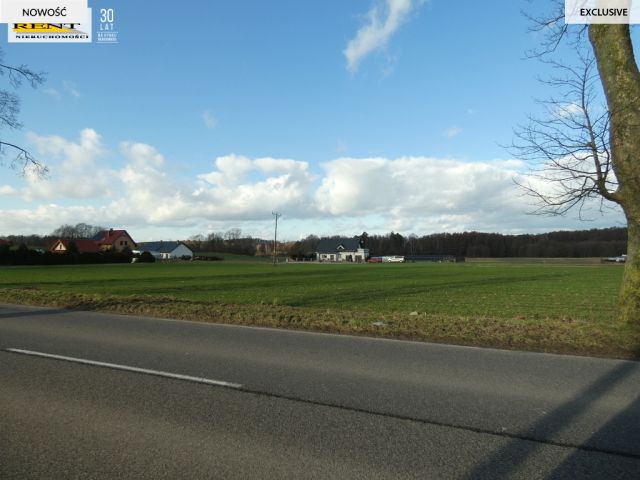 Działka budowlana Budno. Zdjęcie 3
