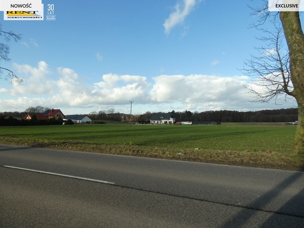 Działka budowlana Budno. Zdjęcie 3