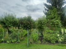 Działka rod Tarnobrzeg Wielopole, ul. Gruntowa. Zdjęcie 1