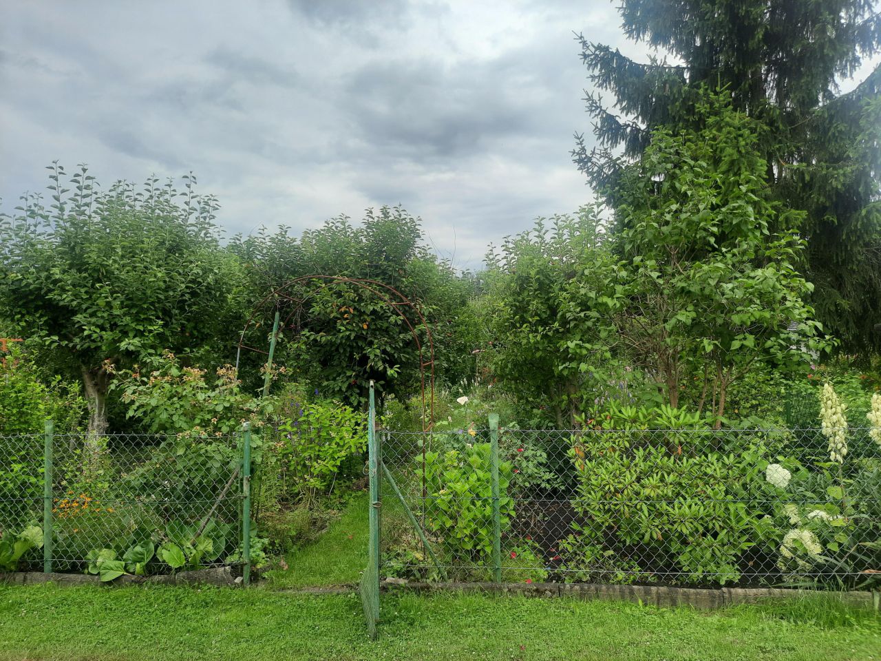 Działka rod Tarnobrzeg Wielopole, ul. Gruntowa. Zdjęcie 2