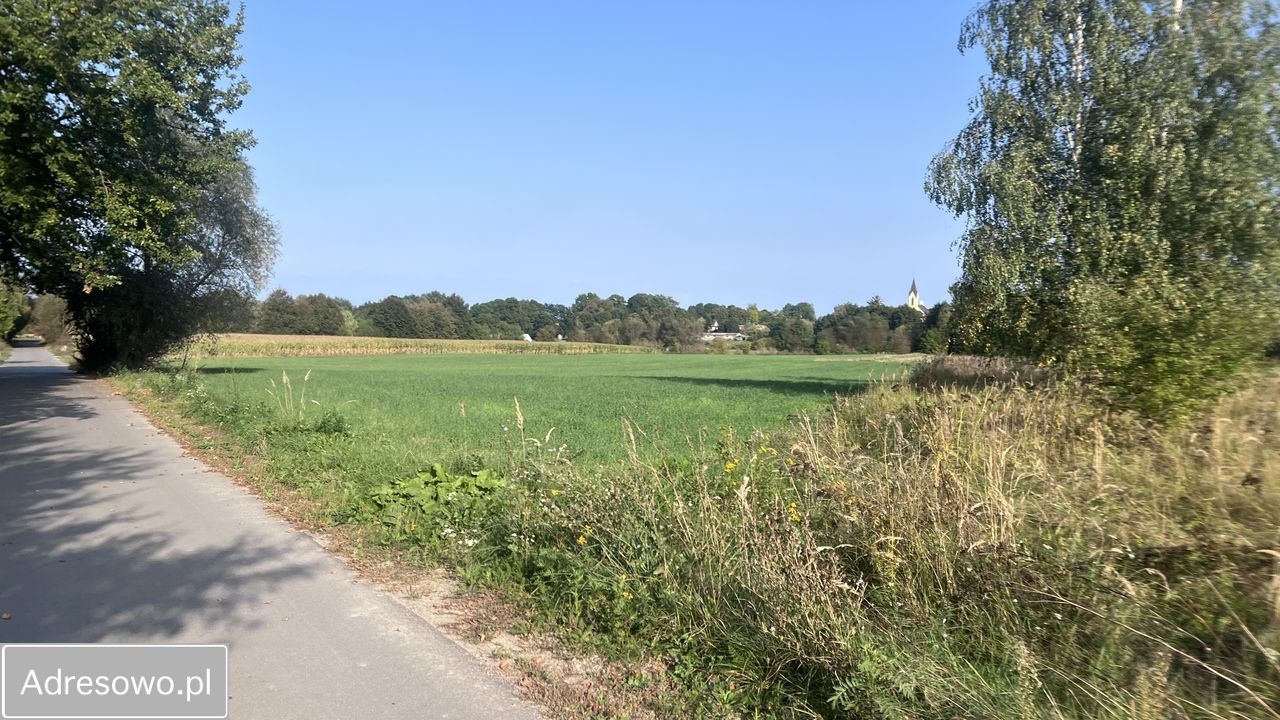 Działka rolno-budowlana Dorohusk-Osada, ul. Wierzbowa. Zdjęcie 2