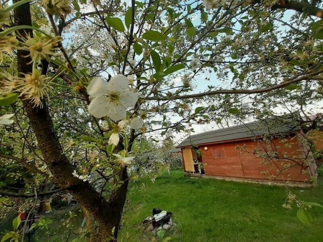 Działka rod Łomianki, ul. Łąkowa. Zdjęcie 1