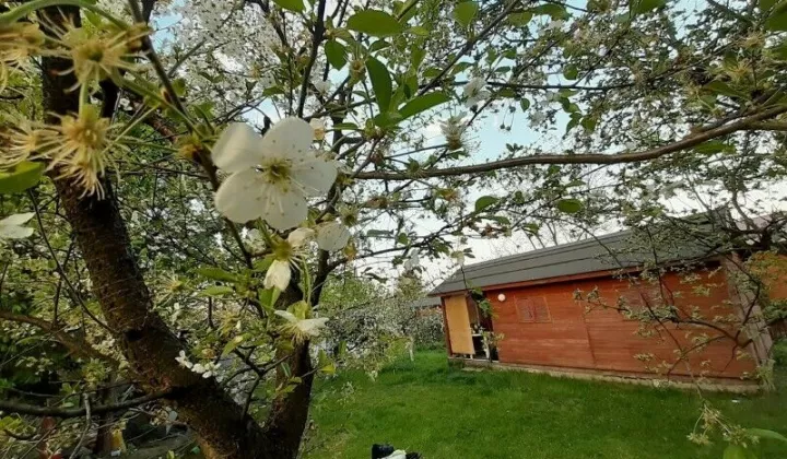 Działka rod Łomianki, ul. Łąkowa