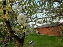 Działka rod Łomianki, ul. Łąkowa