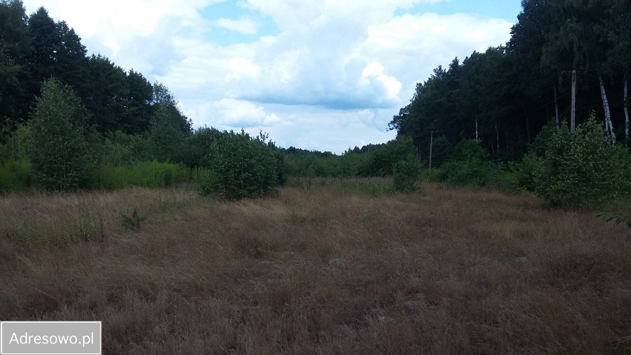 Działka budowlana Kłyżów Krzaki. Zdjęcie 4