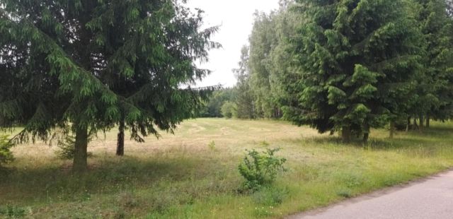 Działka rolno-budowlana Kaczka. Zdjęcie 1