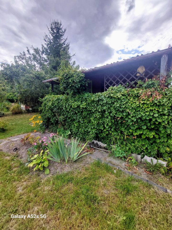 Działka rod Starachowice Skałka, ul. Leśna. Zdjęcie 9