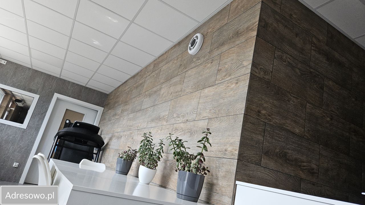 Nieruchomość komercyjna Piotrków Trybunalski Śródmieście, ul. Litewska. Zdjęcie 9