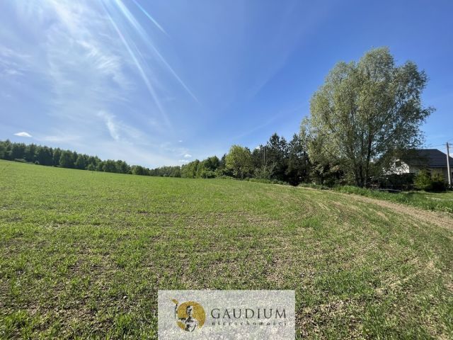Działka Zła Wieś. Zdjęcie 7