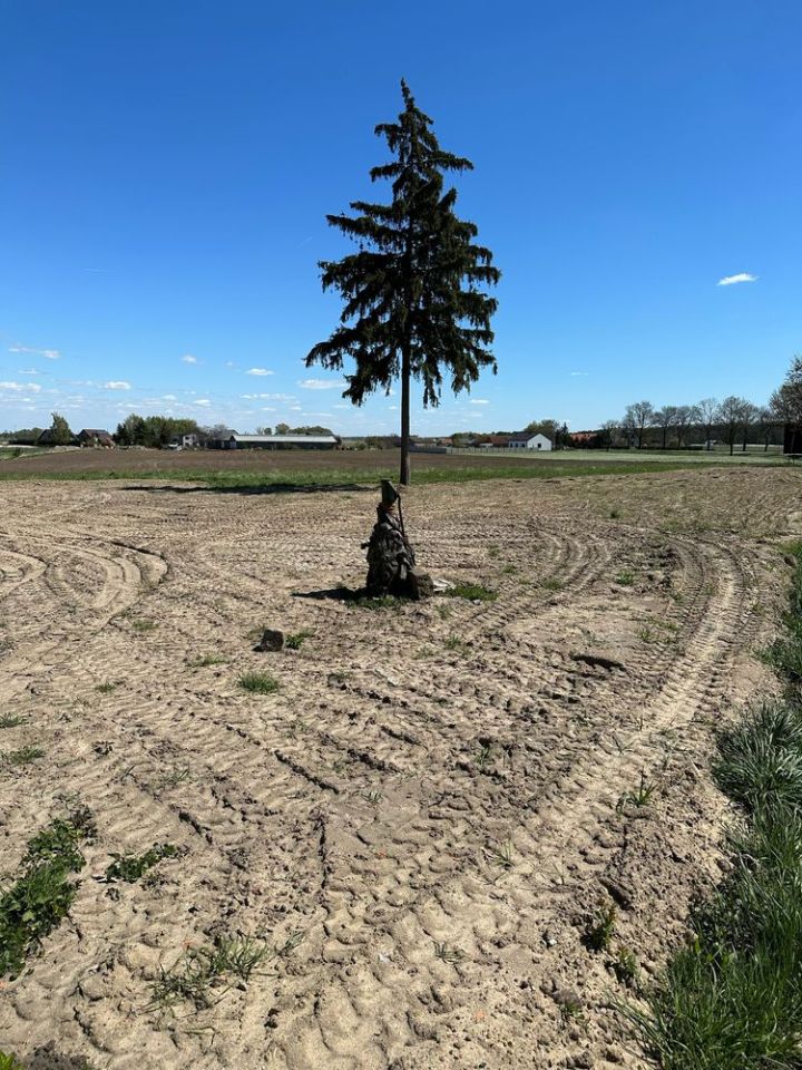 dom wolnostojący Smoszew. Zdjęcie 4