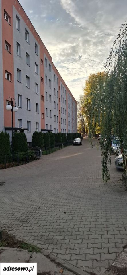 Mieszkanie 2-pokojowe Sochaczew, ul. Grunwaldzka. Zdjęcie 3
