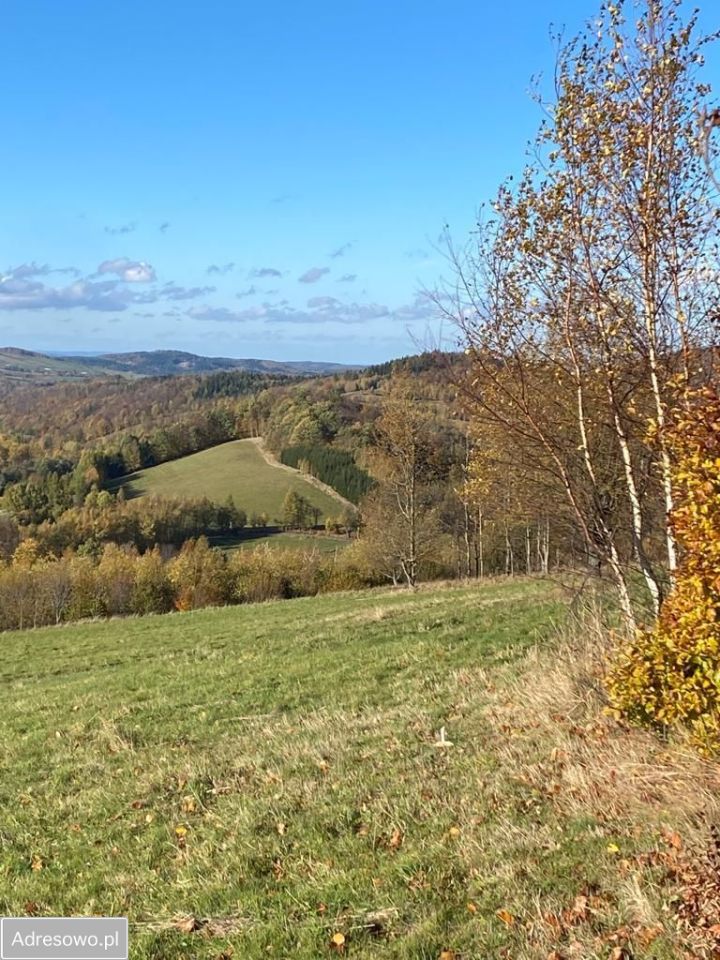 Działka rolna Walim. Zdjęcie 4