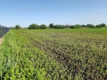 Działka budowlana Deszczno, ul. Wietrzna. Zdjęcie 1